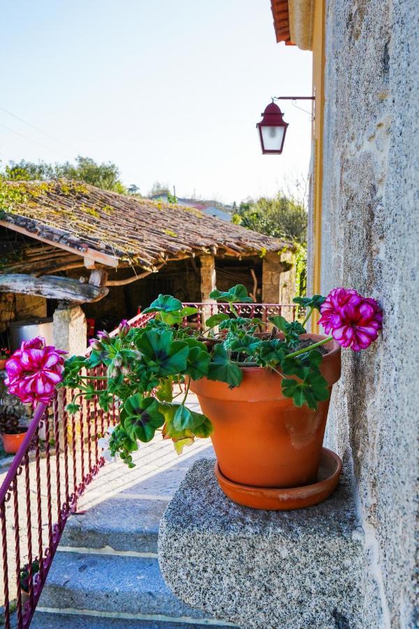 Casa Do Ribeiro Guest House Lago  Luaran gambar